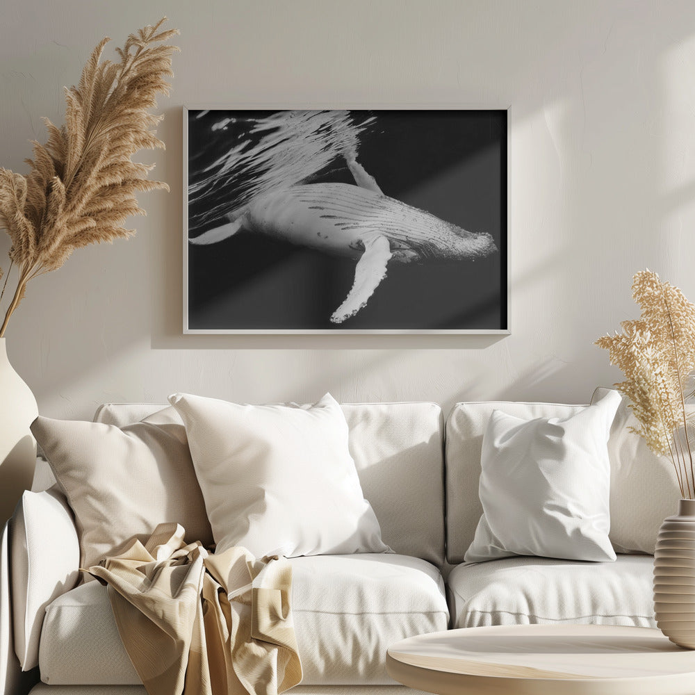 Black & Whale Poster